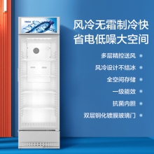 海爾冷藏柜SC-328D