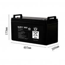 免維護蓄電池12V100AH